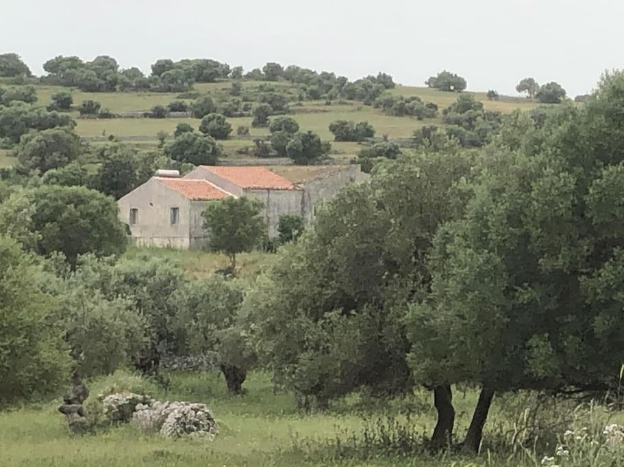 Oliveraie De Caractere * Noto